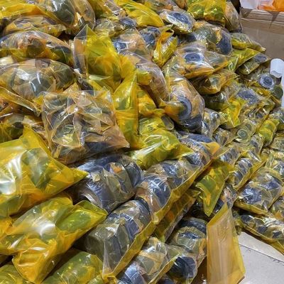 Cuscino del motore dei pezzi di ricambio dell'escavatore di KWSK per Caterpillar E320B S6K